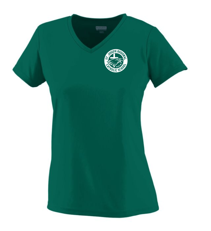 Ladies' V-Neck Performance T-Shirt